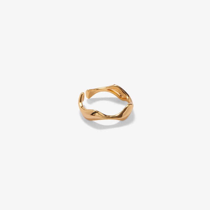 Anillo de Ola Bahía