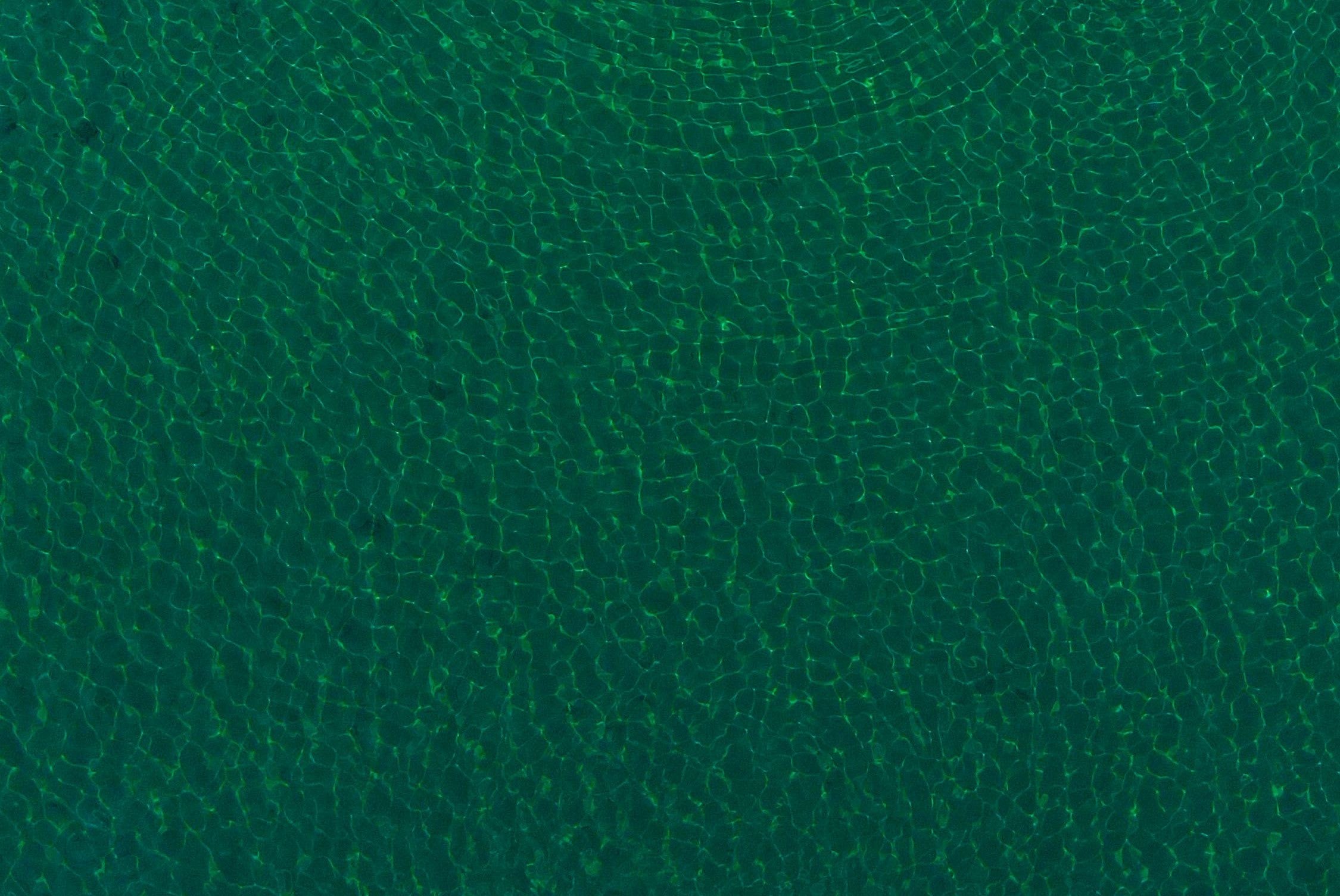 pexels-konstantinos-sarampalos-2160004687-36536269.jpg